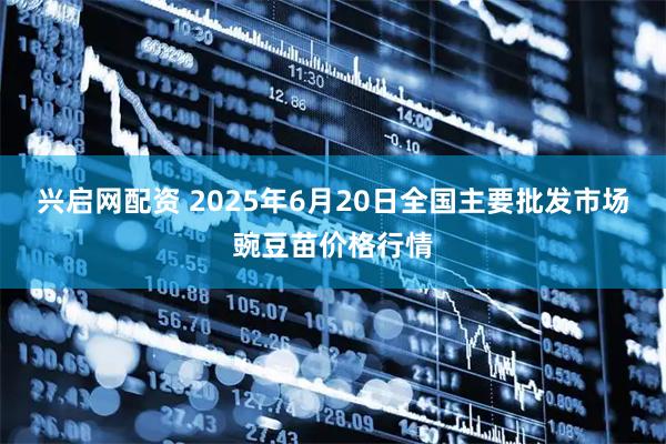 兴启网配资 2025年6月20日全国主要批发市场豌豆苗价格行情