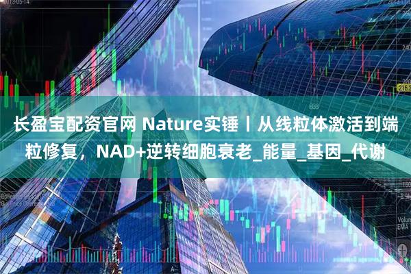 长盈宝配资官网 Nature实锤丨从线粒体激活到端粒修复，NAD+逆转细胞衰老_能量_基因_代谢