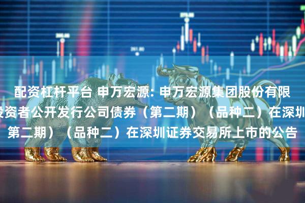 配资杠杆平台 申万宏源: 申万宏源集团股份有限公司2025年面向专业投资者公开发行公司债券（第二期）（品种二）在深圳证券交易所上市的公告